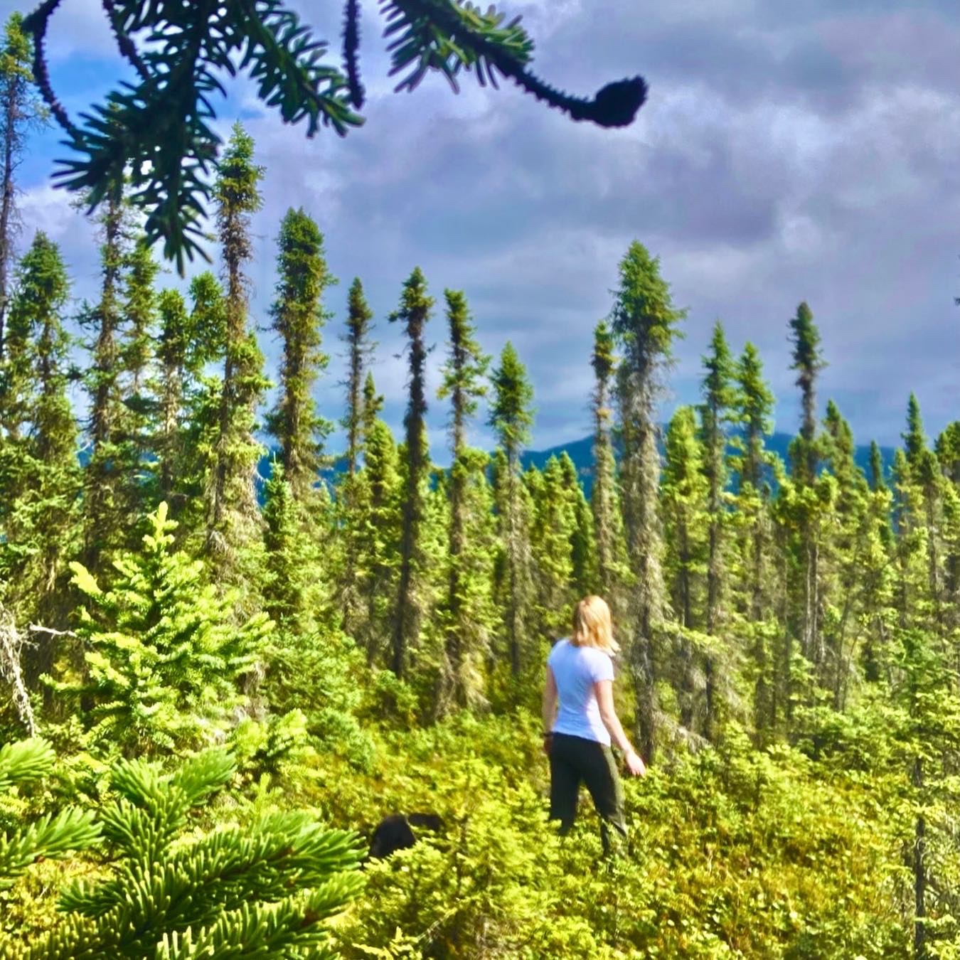 Creating Balance with Summer Training